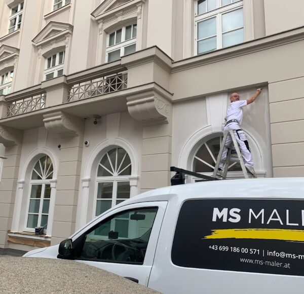 MS Maler – Foto 4