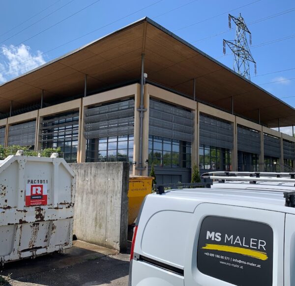 MS Maler – Foto 6