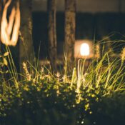 A tranquil garden scene at night featuring softly illuminated grass and trees, creating a serene atmosphere.