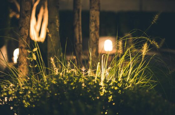 Außenbeleuchtung im Garten installieren: Kosten und Vorschriften