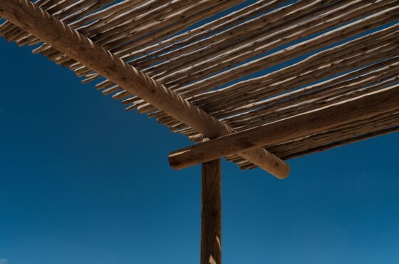 Pergola bauen lassen: Kosten, Materialien und Genehmigung im DACH-Raum