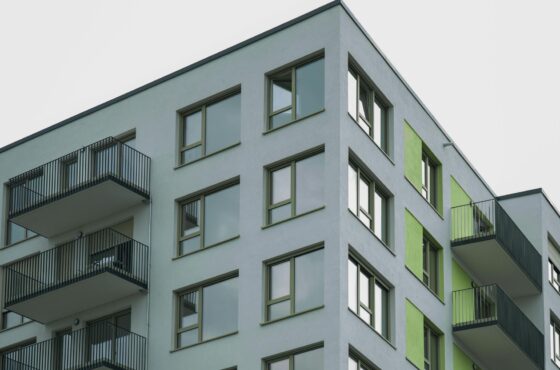 Schimmel in der Wohnung: Wann der Fachbetrieb muss und was es kostet