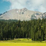 Verdant meadow and tall dark green trees on slope by tall mountain under blue sky with clouds