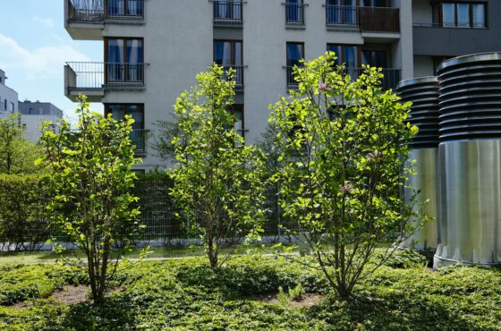 Zisterne einbauen lassen: Kosten, Vorschriften und Ablauf im DACH-Raum