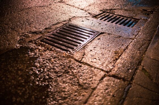 Drainage im Garten verlegen lassen: Kosten und wann es sich lohnt