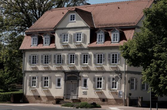 Marder im Haus: Wer hilft und was der Schutz kostet
