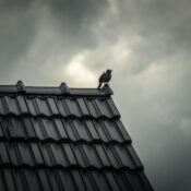 A lone bird perched on a tiled roof under a dramatic cloudy sky.