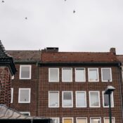 Charming brick buildings in Lübeck, SH, Germany, with birds flying overhead.