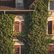 A picturesque stone house facade with ivy-covered walls and wooden shutters, captured in daylight.