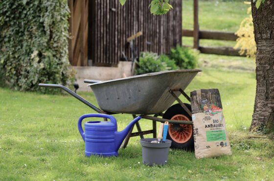 Gartenweg anlegen lassen: Kosten und Materialien im Vergleich