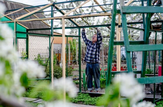 Gewächshaus aufstellen lassen: Kosten und Genehmigung im DACH-Raum