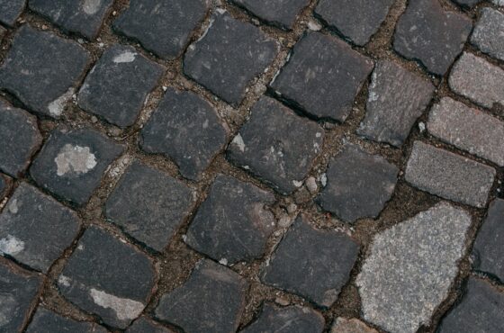 Pflasterfugen sanieren lassen: Kosten und Methoden im DACH-Raum