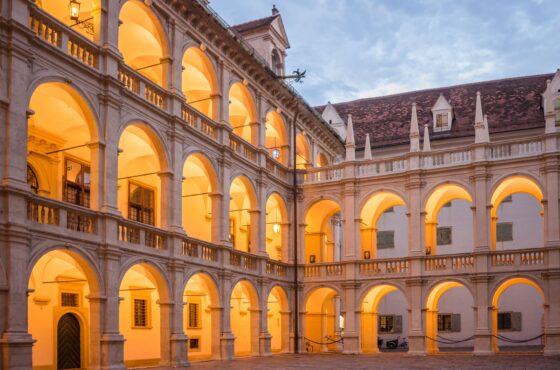 Außenwand dämmen lassen: Kosten und Förderungen für WDVS in Österreich, Deutschland und der Schweiz