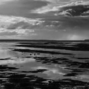 Dramatic marshland landscape in black and white, capturing stormy clouds and reflections on water.