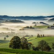 A serene misty morning over the rolling hills of Upper Austria with lush greenery and distant fog.