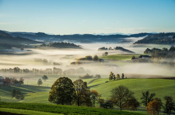 Dach vor dem Herbst prüfen lassen: Schwachstellen rechtzeitig finden