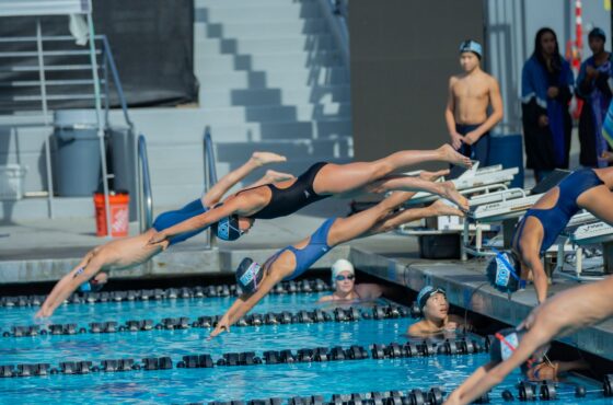 Pool winterfest machen: Ablauf, Kosten und typische Fehler