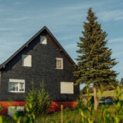 Charming rural home with brick base and a tall pine tree under a clear summer sky.