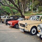 Lineup of classic cars displayed outdoors in a scenic park setting.