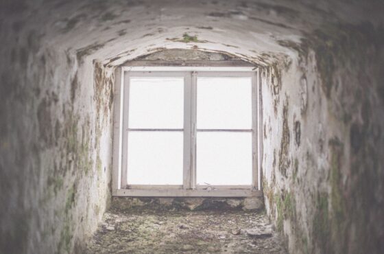 Kellerfenster und Lichtschächte sichern: Einbruchschutz im Untergeschoss