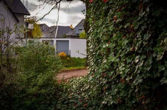 Laubreinigung auf dem Grundstück: Wann sich der Gartenbauer lohnt