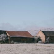 Winter morning rural scene with frosty barns and trees under a pale sky.
