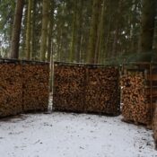 Stacked firewood in a snowy forest, showcasing winter preparation.
