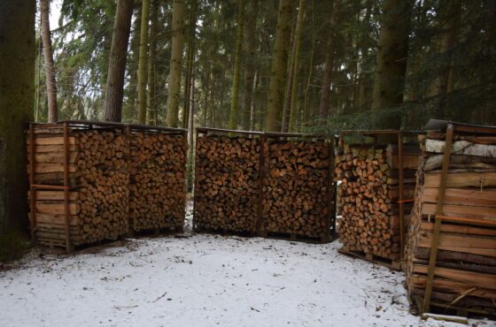 Brennholz richtig lagern: Restfeuchte prüfen und was es kostet