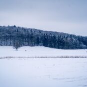 A tranquil snow-covered landscape in Lenningen, Germany featuring a snowy field and distant hikers.