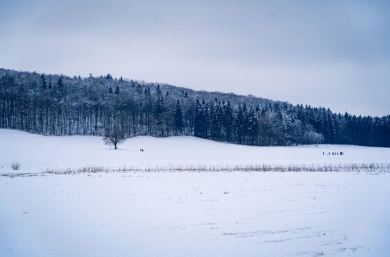 Photovoltaik im Winter: Ertrag, Schnee und Frostschutz