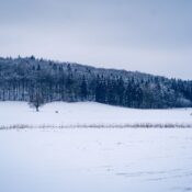 A tranquil snow-covered landscape in Lenningen, Germany featuring a snowy field and distant hikers.