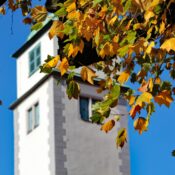 Stunning autumn leaves frame a historic tower in Augsburg, Germany, against a clear blue sky.
